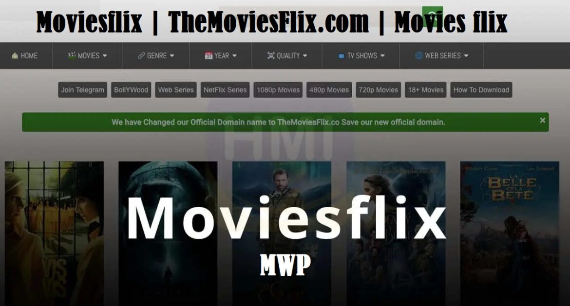 the movieflix.com